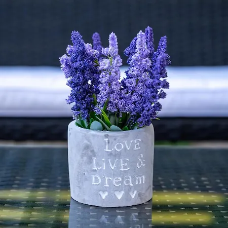 Berry * איקסיה