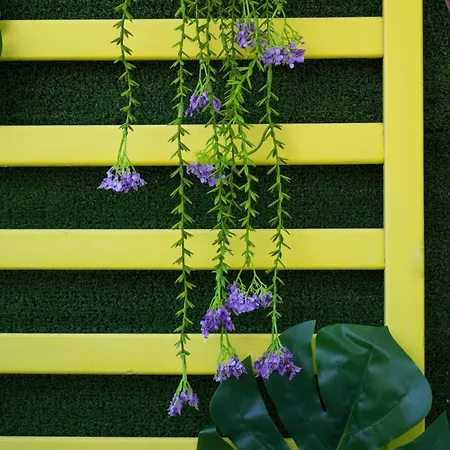 Апартаменты Berry Иксиа