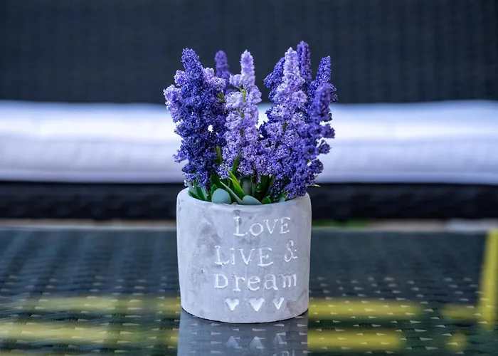 Berry * איקסיה